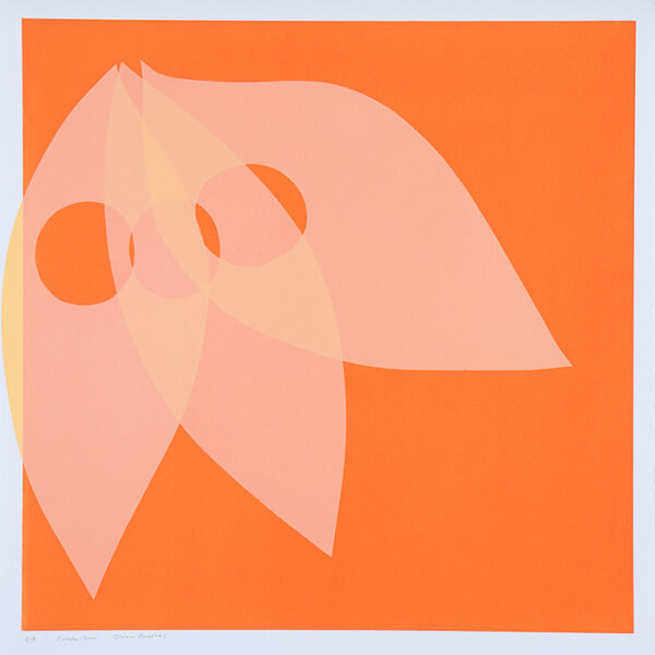 Pin Hole Sun